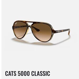 Ray-Ban Cats 5000 Classic Tortoise Sunglasses